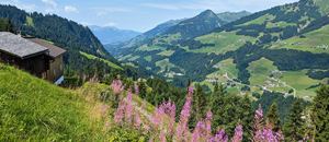 in Sonntag-Stein, ein Blick auf das Tal mit dem Walserkamm
