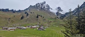 Es ist ruhig geworden auf der Alpe Laguz