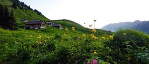 Alpe Steris