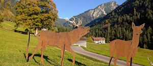 in Garfülla
