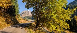 Herbstidylle am Weg nach Laguz