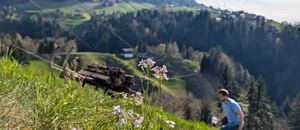 Aktuell wird wieder Brennholz gemacht...