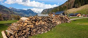 ... der nächste Winter kommt bestimmt :-)