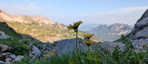 Bergtour Rote Wand