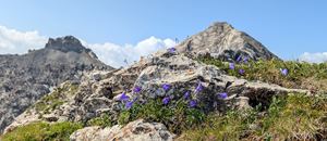 Bergtour Rote Wand - Blick zum Gipfel